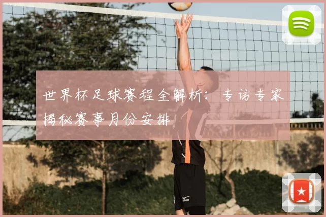 世界杯足球赛程全解析：专访专家揭秘赛事月份安排
