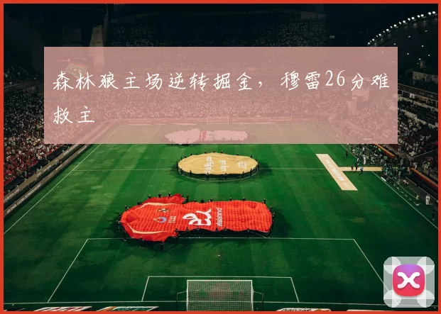 森林狼主场逆转掘金，穆雷26分难救主