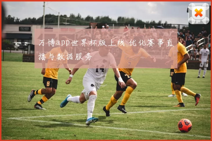 万博app世界杯版上线 优化赛事直播与数据服务