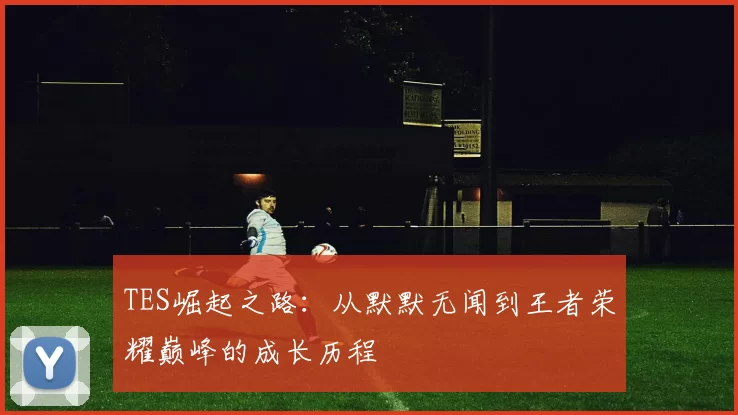 TES崛起之路:从默默无闻到王者荣耀巅峰的成长历程