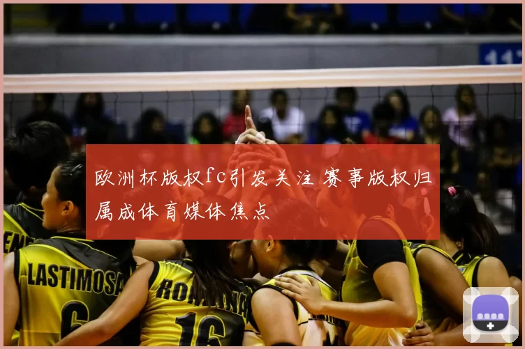 欧洲杯版权fc引发关注 赛事版权归属成体育媒体焦点