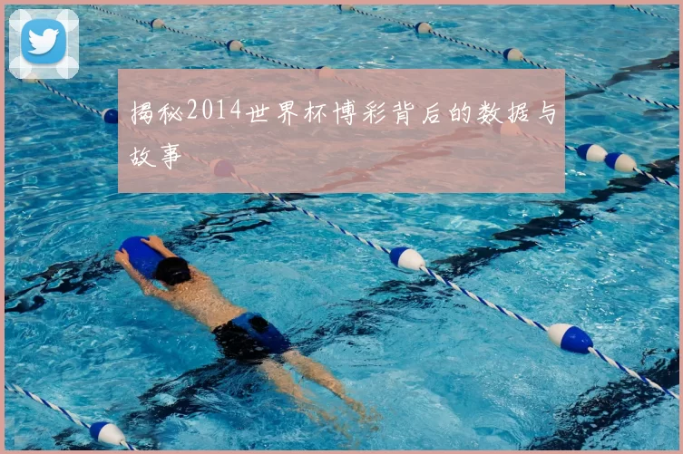 揭秘2014世界杯博彩背后的数据与故事