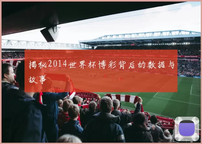 揭秘2014世界杯博彩背后的数据与故事