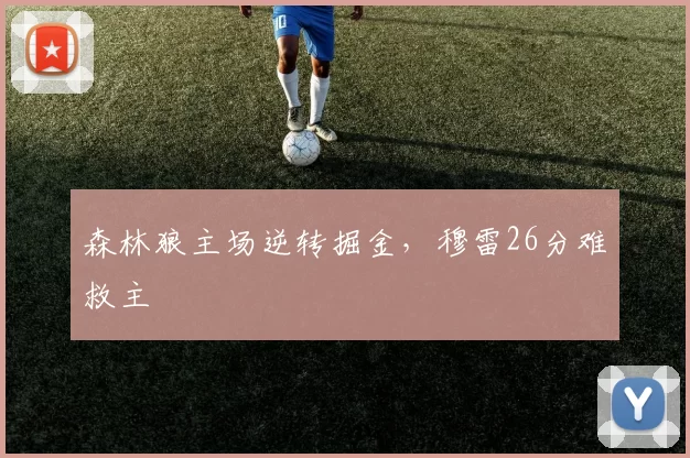 森林狼主场逆转掘金，穆雷26分难救主