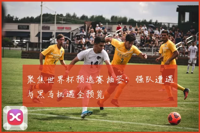 聚焦世界杯预选赛抽签:强队遭遇与黑马机遇全预览