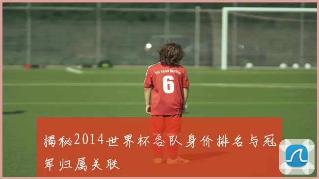揭秘2014世界杯各队身价排名与冠军归属关联